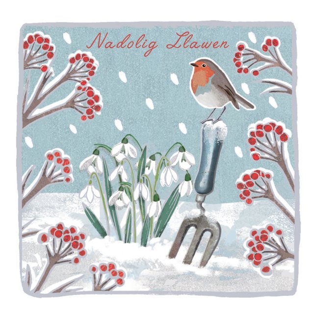 Nadolig Llawen/Happy Christmas Cards PK/5