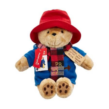 Large Cuddly Paddington with Scarf