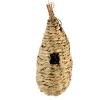 Fallen Fruits Baking Cups Jumbo (24) FCS Certified
