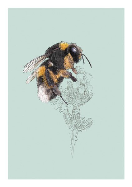 Ben Rothery Bumblebee Greeting Card