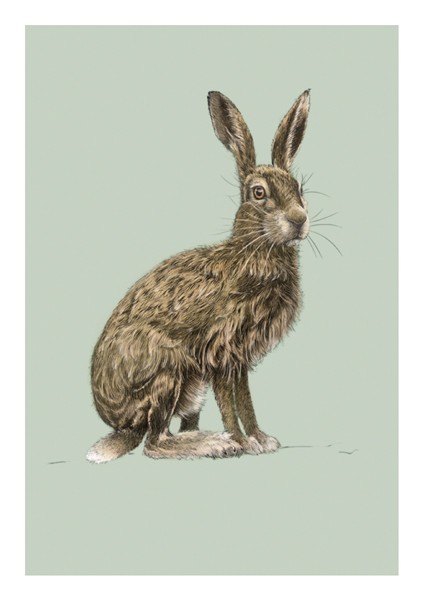 Ben Rothery Hare Greeting Card