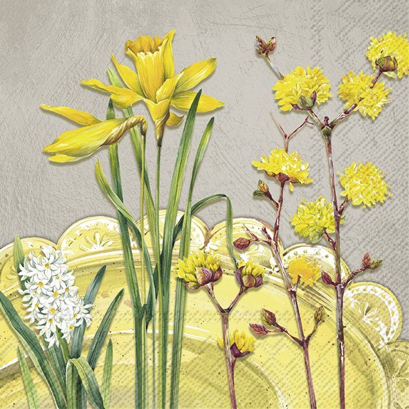 Napkins Nancy Grey