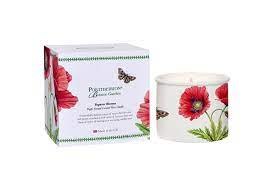 Portmeirion Arthouse Unlimited Angels of The Deep Plant Wax Candle (Neroli)
