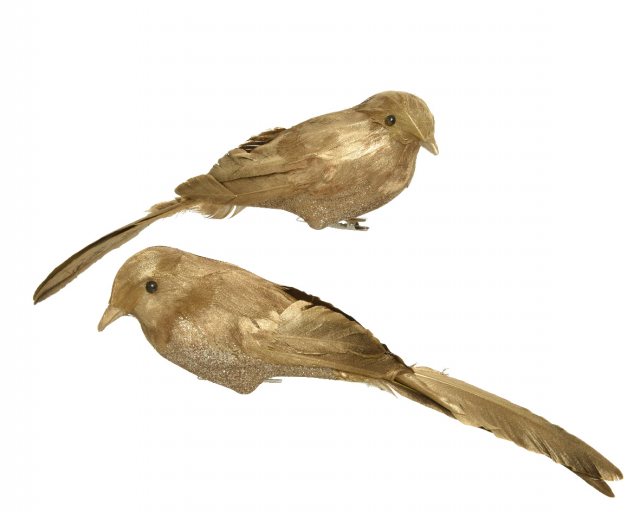 Bird Foam Gold Metallic Feather (Single)