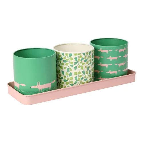 Scion Living Mr Fox Set of 3 Herb Pots - Mint Leaf