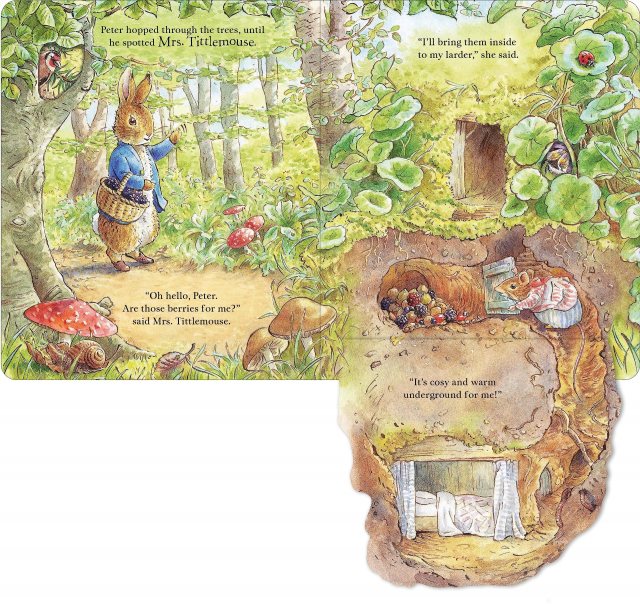 Peter Rabbit - Forest Homes A Peep Inside Tale Board Book |Portmeirion ...