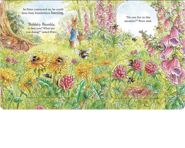 Peter Rabbit - Forest Homes A Peep Inside Tale Board Book |Portmeirion ...