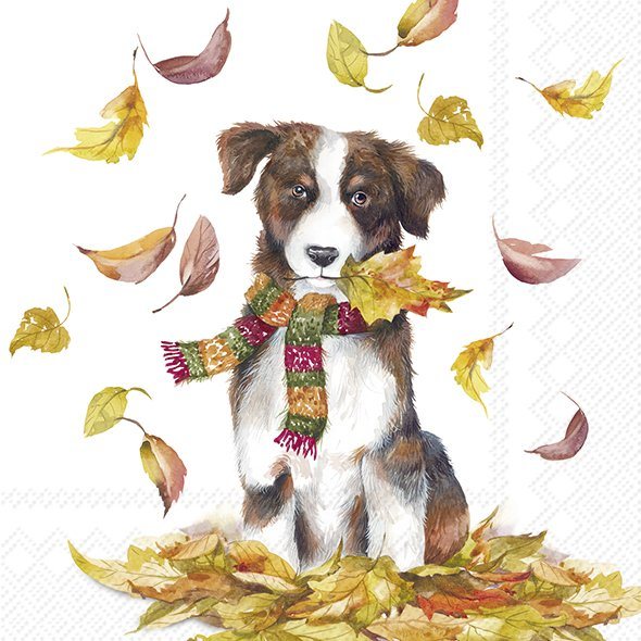 IHR Napkins Dog Having Fun