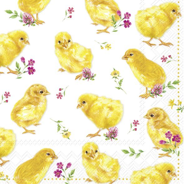 IHR Napkins Chicks