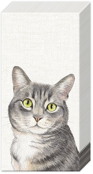 IHR Tissues Farm Cat Cream