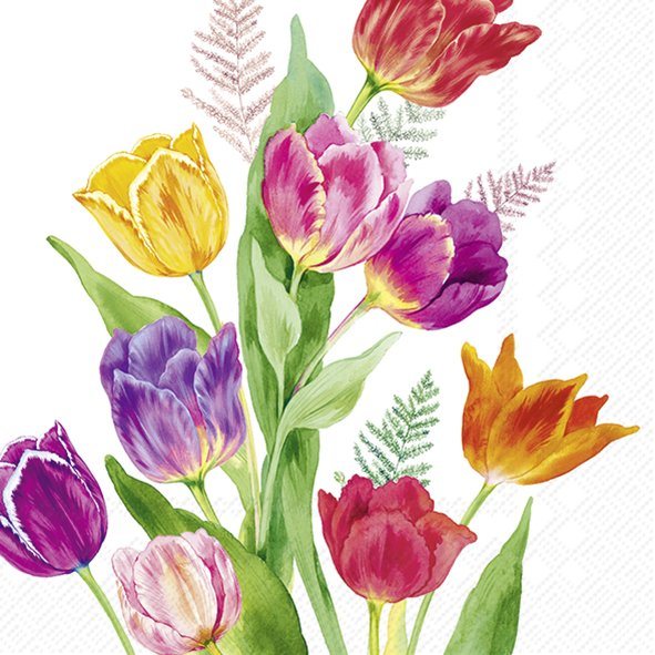 IHR Napkins Bright Tulips