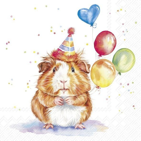 IHR Napkins Birthday Kalli