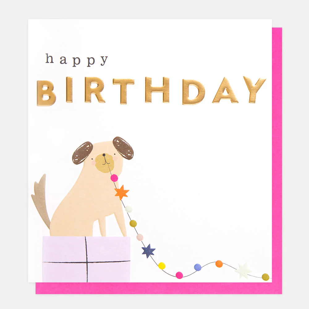 Caroline Gardner Happy Birthday Dog On A Present Card