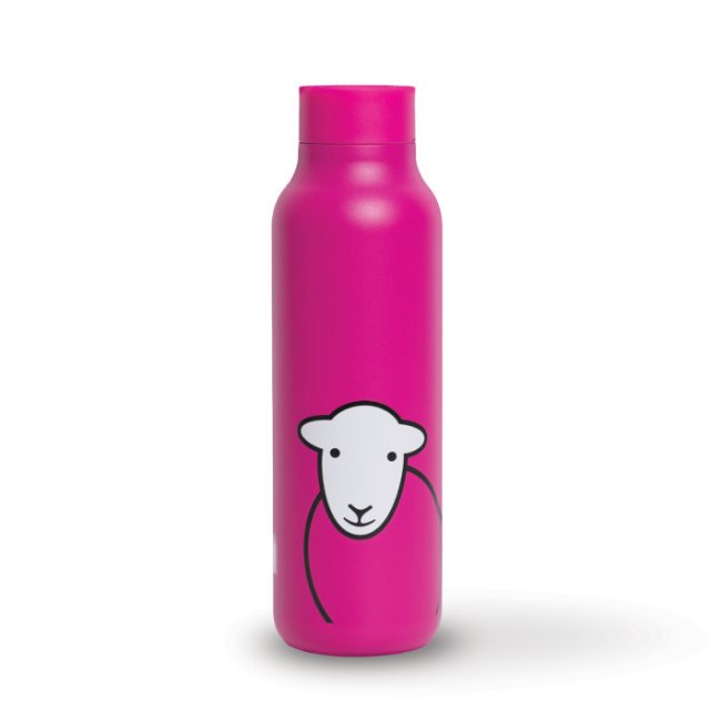 Herdy Hello Travel Flask - Pink