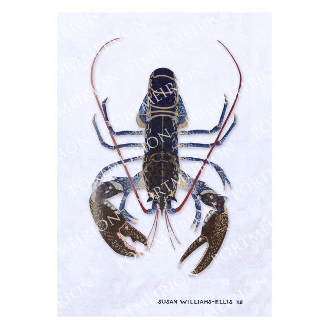 Susan Williams-Ellis - Cimwch / Lobster Mounted Print A3