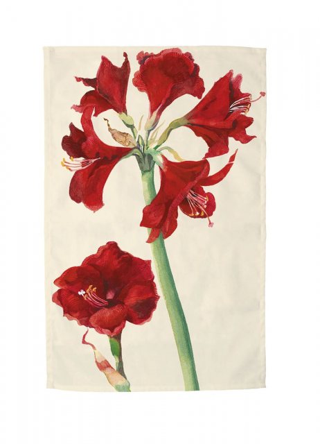 Emma Bridgewater Amarylis Tea Towel