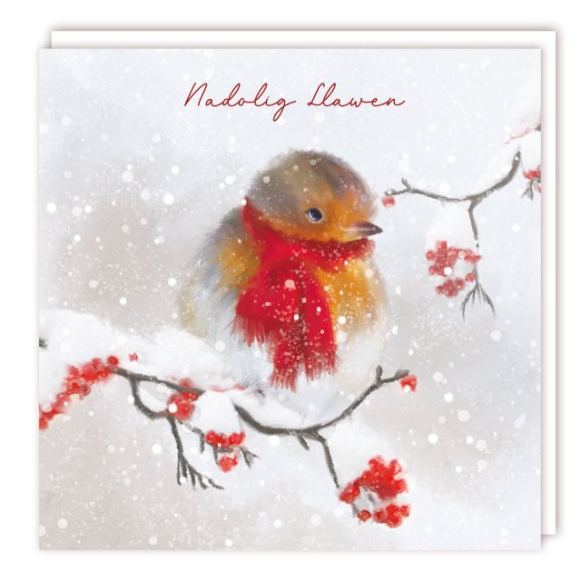 Nadolig Llawen Wrapped Robin Christmas Cards - 5 Pack