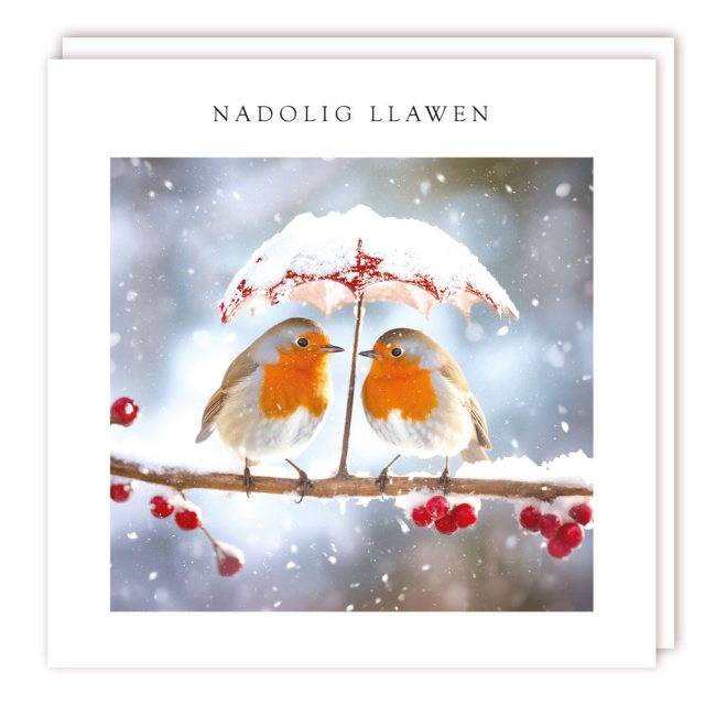 Nadolig Llawen 2 Robins Christmas Cards - 5 Pack