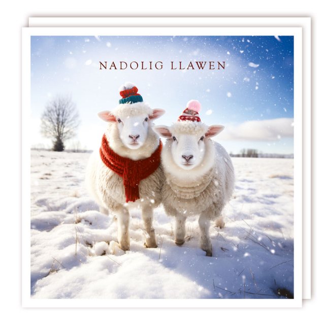 Nadolig Llawen 2 Sheep Christmas Cards - 5 Pack