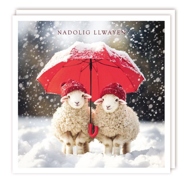 Nadolig Llawen 2 Sheep Under Umbrella Christmas Cards - 5 Pack