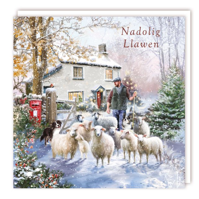 Nadolig Llawen Herding the Sheep Christmas Cards - 5 Pack