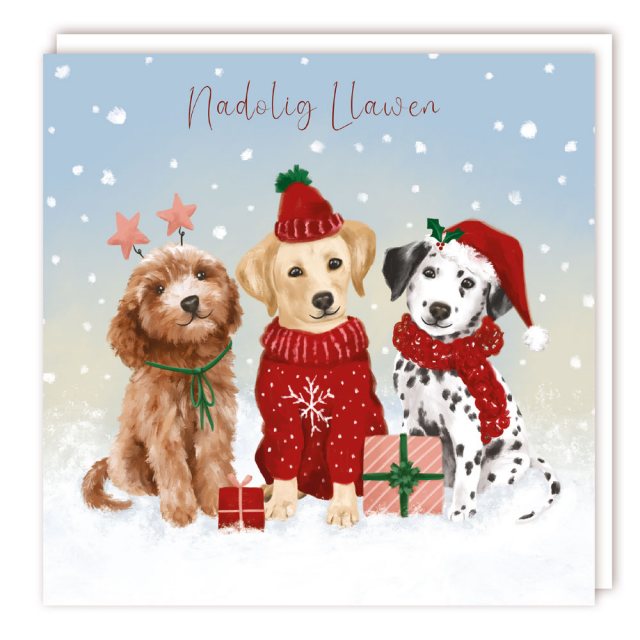 Nadolig Llawen 3 Dressed Hounds Christmas Cards - 5 Pack