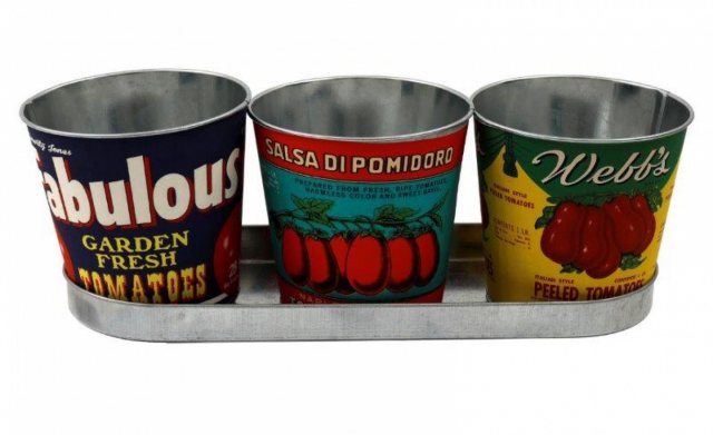 Vintage Style Set of 3 Tomato Planters With Tray