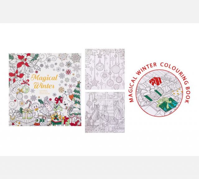 Magical Winter Colouring Book