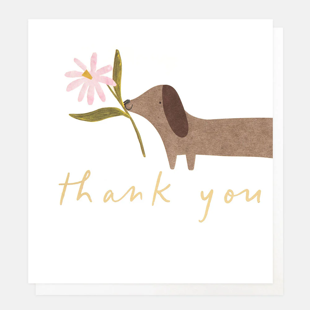 Caroline Gardner Sausage Dog & Flower Thank You Card