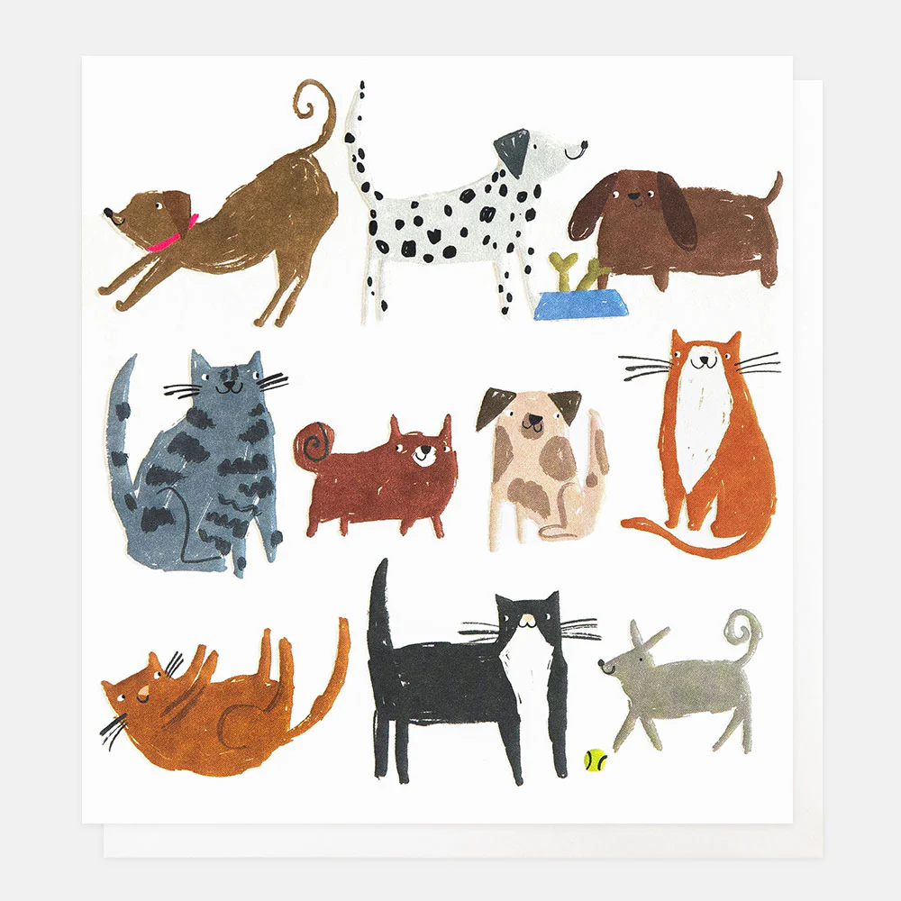 Caroline Gardner Cats & Dogs Everyday Card