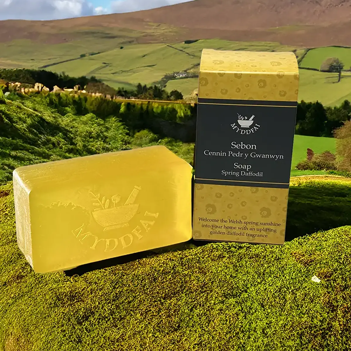 Myddfai Cenin Pedr Y Gwanwyn / Spring Daffodil Soap 220g