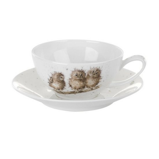 Portmeirion Pottery Wrendale Designs Cappuccino Cup & Saucer Owl