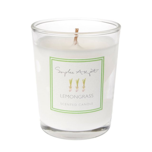 Sophie Allport Ivory Shiny Candles Pk/2 30cm