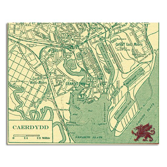 Portmeirion Cymru Landscape Cardiff Map Canvas Art   (27)