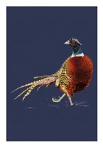 Ben Rothery Pheasant Greetings Card