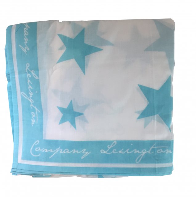 Lexington Lexington Seaside Star Drape Turquoise