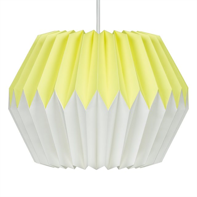Wild & Wolf Glass Filled Fresh Lemons Reed Diffuser - Basil and Wild Lemon Scent 100ml