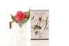 Ted Baker Anton Studio Designs Oslo Gin Glasses Frost Set of 2