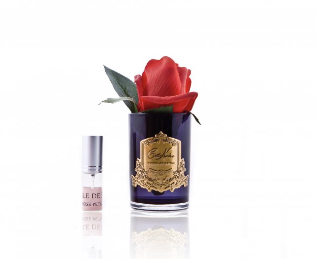 Ted Baker Berries Spray Black