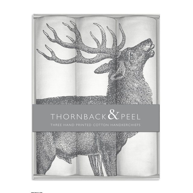 Thornback & Peel Built Stylist Lunch Bag 6L