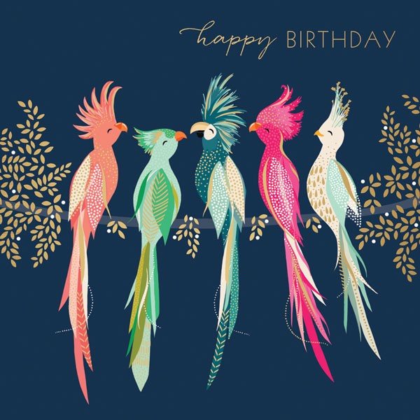 Sara Miller Happy Birthday Greetings Card - Parrots