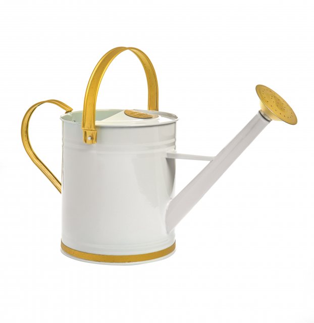 RHS Asteraceae Gift Planting Trowel & Dibber