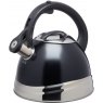 Le Xpress Black Stainless Steel Whistling Kettle