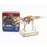 Rex London Cupcake Cases - Wild Wonders Pack of 50