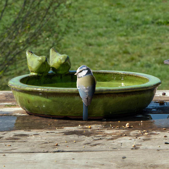 Fallen Fruits Ceramic Round Bird Bath Asstd