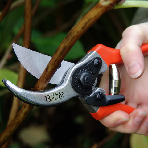 Burgon & Ball Bypass Secateurs - RHS Endorsed