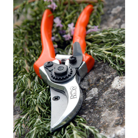 Burgon & Ball Bypass Secateurs - RHS Endorsed