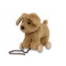 Little Bird Told Me Dexter Dog Pull Along Toy