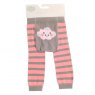 Ziggle Ziggle Dinosaur Boxed Sock Set