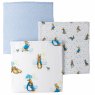 Peter Rabbit Muslin Squares S/3